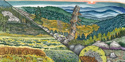 June First Friday: "Habitats Across Oregon" by Paula Fong