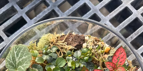 Terrarium Workshop
