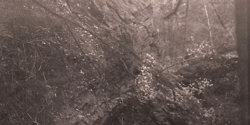 Sustainable Darkroom Practices | Plant-Based Development