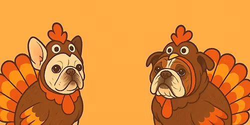 TABR Turkey Trot - Bulldog Gobble Wobble at Solo's