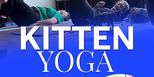 Kitten Yoga