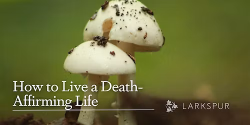 How to Live a Death-Affirming Life