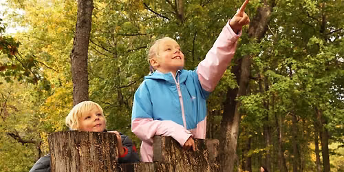 Fall Tree Walk