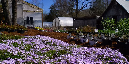 Springfest at Bear Creek Nursery