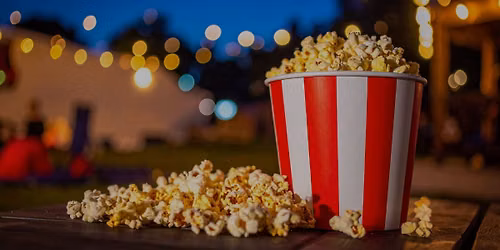 Movie in the Park