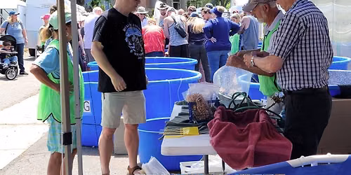 KOI RE-HOMING AUCTION