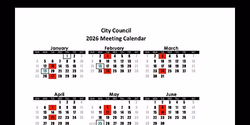 Anaheim City Council Meeting