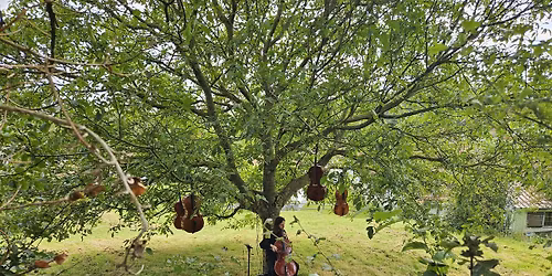 Pause nature au fil de l'eau : balades musicales