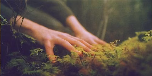 Bezield Dansen * Movement lab in the forest: Inner growth * 17 juni