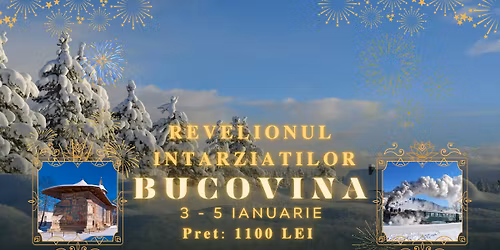 \ud83c\udf89\ud83c\udfb6 REVELION I\u0302NTA\u0302RZIAT \u2013 BUCOVINA \u2728