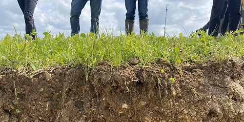 Getting more from the soil by putting in less?