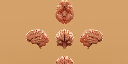 "Rejuvenating the Aging Brain": In-Person Badger Talk in Brookfield, WI