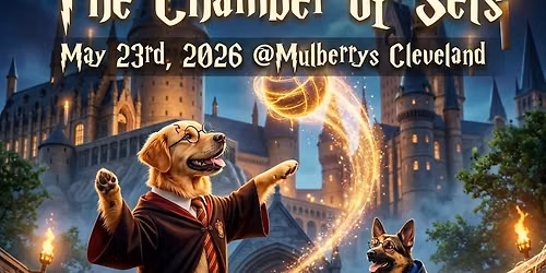Volley Potter & The Chamber of Sets 