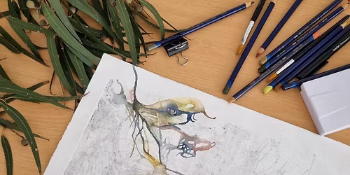 Connecting to Nature : Pathways to Art | All ages event