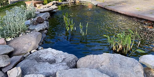Learning from Great Gardens: Sally and Don DeWees