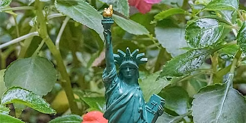 Statue of Liberty + The Copper Family - benefit for Refugee Buddy Project