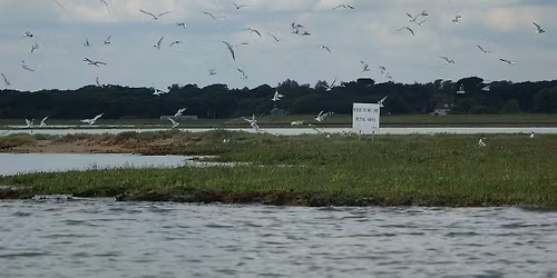 Lymington-Keyhaven Marsh
