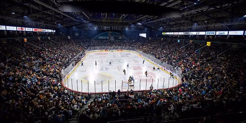 2026-2027 Belfast Giants Season Tickets