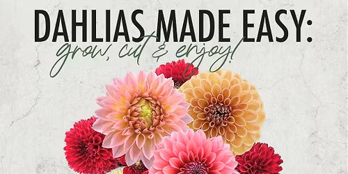 Dahlias Made Easy: Dahlia Growing Workshop by Bella's Blooms