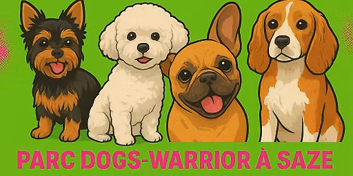 \ud83e\ude75\ud83e\ude75Sp\u00e9cialement Petits chiens et Moyens \ud83e\ude75\ud83e\ude75 R\u00e9cr\u00e9ation Petits chiens\ud83d\udc9e\ud83d\udc9e\ud83d\udc9e