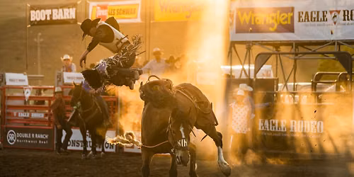 Brown Horse