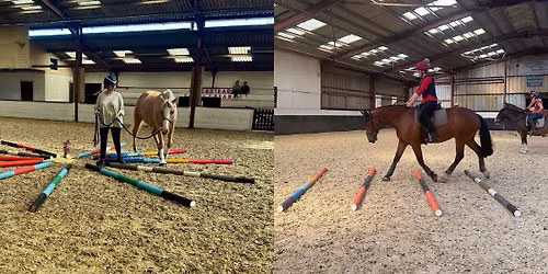 Polework Clinic In hand & Ridden with Jan Carter AT CROCKSTEAD OPEN TO ALL
