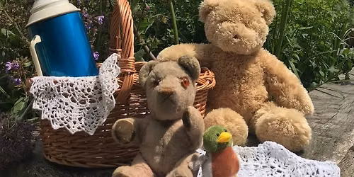 Teddy Bears Picnic: Bears, Books & Blankets