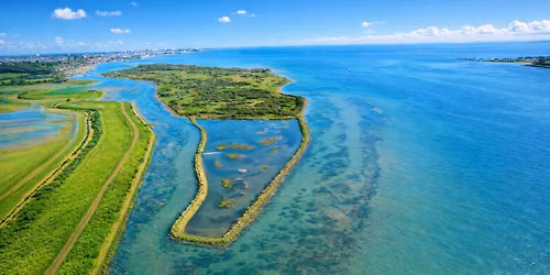BEGINNERS HIKE 14km Fishing Towns & Nature Reserves of the Thames Estuary