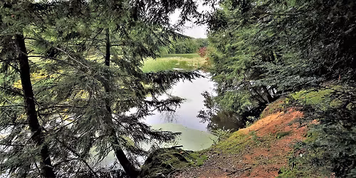 Earth Encounters: Geology of Hemlock Crossing