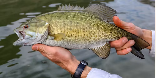 Lake Erie Smallmouth Fishing