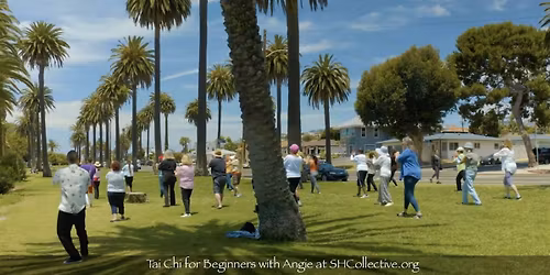 Ocean View Tai Chi for Beginners! (by SHCollective)