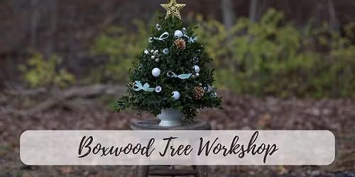 Boxwood Tree Workshop.