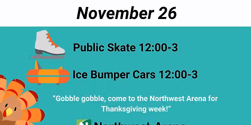 Thanksgiving Holiday Ice Bumper Cars & Public Skate-Wednesday