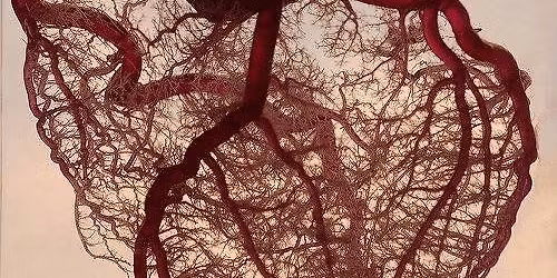 "KOCHA\u0106- CZULE OBJ\u0104\u0106 MI\u0141O\u015aCI\u0104..." cykl warsztat\u00f3w poziomu Heartbeat\u00ae\/ eksplorowanie emocji\/ 