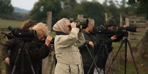 Observer la migration des oiseaux en val d’Arroux