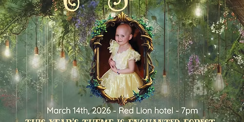 Valicity's Once Upon a Time Princess Ball