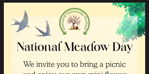 Meadow Day Picnic