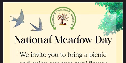 Meadow Day Picnic