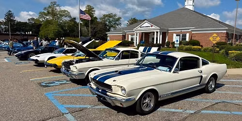 5th Annual All Ford Charity Car Show