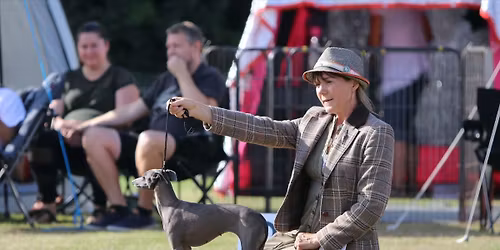 Myndeklubbens tredobbeltudstilling p\u00e5 Trelde N\u00e6s camping 2026