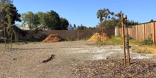 Mulching with Tree Care