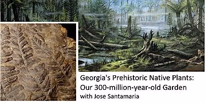 Georgia\u2019s Prehistoric Native Plants: Our 300-million-year-old Garden