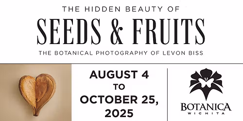 The Hidden Beauty of Seeds & Fruits