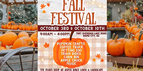 Fall Festival! 