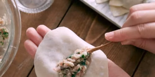 Asian Dumplings: Philadelphia