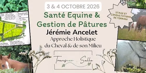Sant\u00e9 \u00e9quine & Gestion de p\u00e2ture : Approche Holistique du Cheval & de son Milieu par J\u00e9r\u00e9mie ANCELET