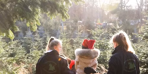 Jul p\u00e5 Dyssegaarden 2025 \u2013 Julemarked, Juletr\u00e6sf\u00e6ldning, Alt til Julebordet og Familiehygge\ud83c\udf84