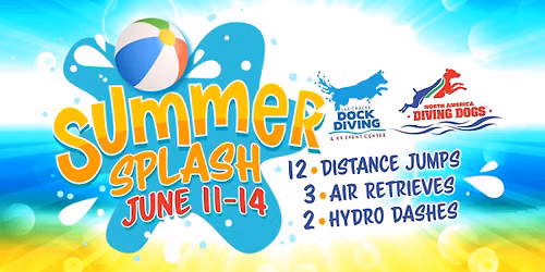 Las Cruces Dock Diving Summer Splash