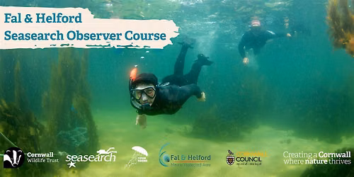 Fal & Helford Seasearch Snorkel Observer Course