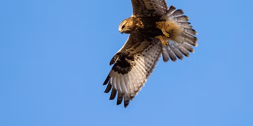 Allegan State Game Area Winter Trip